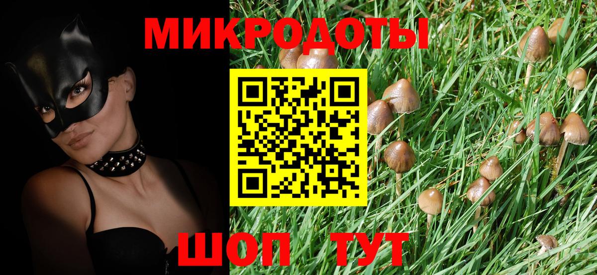 Ленинск-Кузнецкий  Галлюциногенные грибы Cubensis  хочу   Вход с VPN 